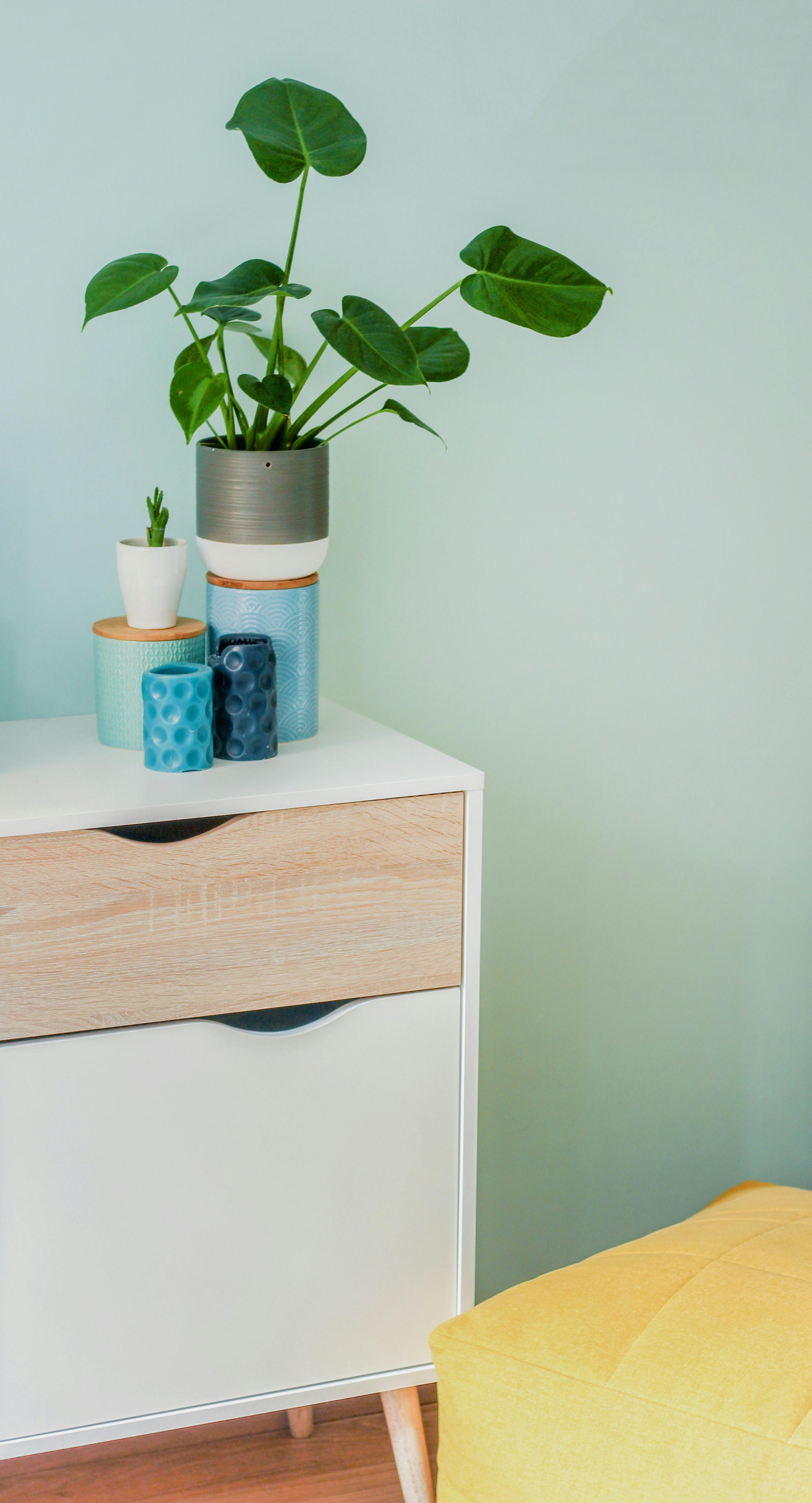 Oak Stool